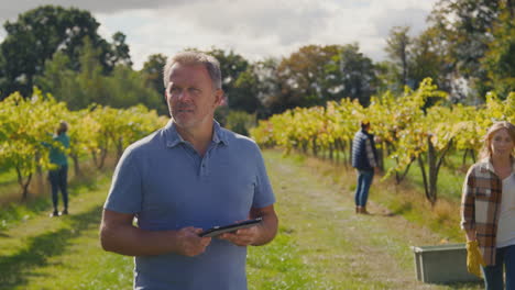 Mature-Male-Owner-Of-Vineyard-With-Digital-Tablet-In-Field-Talking-With-Workers-At-Harvest