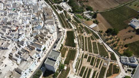 Aerial-view-over-Locorotondo-village-houses-and-terrace-vineyard,-traditional-italian-hilltop-town,-on-a-sunny-day
