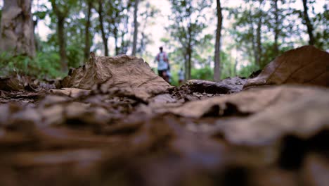 Toma-De-ángulo-Bajo-De-Corredores-De-Senderos-Pasando-Por-El-Bosque.