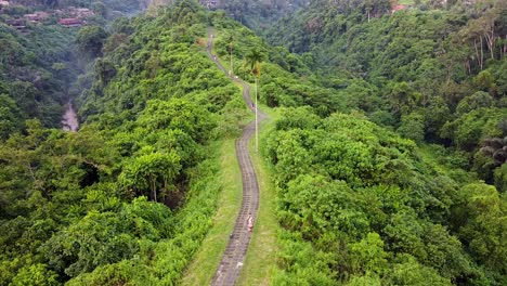 People-jogging-the-Campuhan-Ridge-Walk,-a-hilltop-hiking-trail-amid-tropical-scenery-of-lush-overgrown-jungle