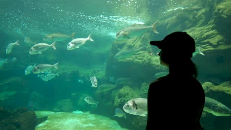 Silhouette-Eines-Mädchens,-Das-Fische-In-Einem-Großen-Beleuchteten-Aquarium-Beobachtet