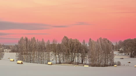 Cielos-Rosados-De-Timelapse-Sobre-El-Paisaje-Invernal-Con-Cabañas-De-Madera-En-Letonia
