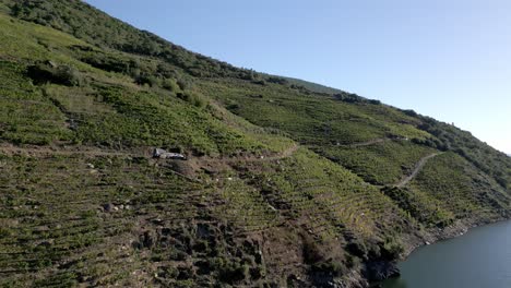 Drone-ascends-above-Ribeira-Sacra-and-Sil-Canyon-hillside-full-with-vineyards-and-harvesters