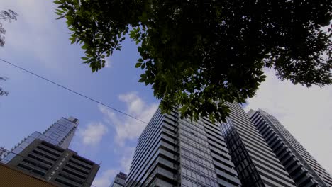 Yonge-Wellesley-looking-upwards-worms-eye-view-facing-North-East-across-TTC-Station-with-Condos-and-Offices-behind-and-tree-branch-hanging-over-with-green-leaves-and-1-powerline-light-clouds-blue-sky