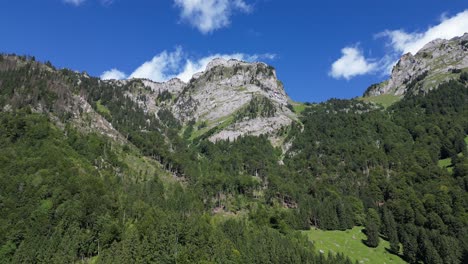Majestätische-Gipfel,-Luftaufnahme-Von-Grünen-Wäldern-Und-Bergen
