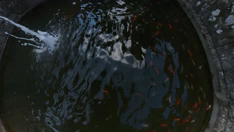 Red-And-White-Fish-In-Stone-Fountain-Of-San-Marino