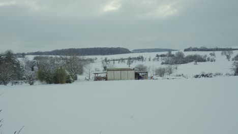 Rural-shack-or-barn-at-the-base-of-a-hill-fronting-a-forested-mountain-covered-in-snow