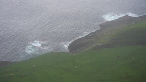 Grüne-Und-Neblige-Klippe-Auf-Den-Mykines-Inseln