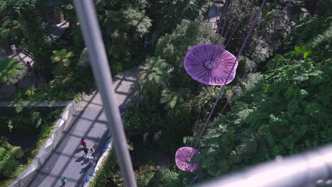 Vista-Superior-De-Los-Jardines-Junto-A-La-Bahía-En-Singapur