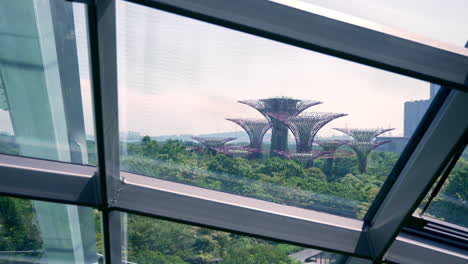 Vista-De-Supertree-Grove-Desde-La-Cúpula-En-Los-Jardines-Junto-A-La-Bahía-En-Singapur