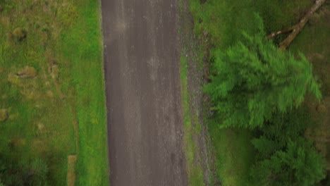 Top-Down-View-Over-Dirt-Track-Road-with-Green-Forest-in-Grey-Bay,-BC,-Canada