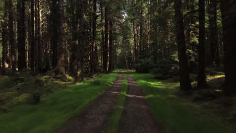 Dirt-Road-Leading-into-Secret-Cove-Forest-with-a-Dolly-Shot,-BC,-Canada