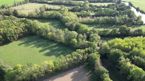 Drone-footage-showing-fields,-hedgerows-and-a-river-snaking-through-on-a-sunny-day