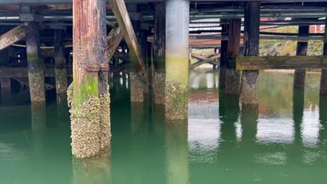 Pillars-Of-An-Old-Wooden-Jetty-Covered-In-Moss-At-Florence,-Oregon-USA