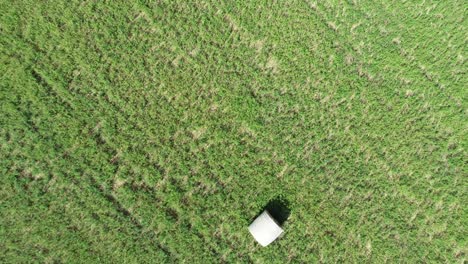 Aerial-drone-shot-zooming-out-of-a-hay-field