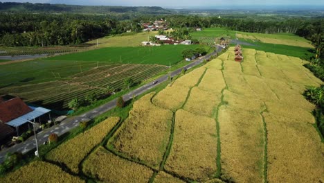 Aerial-View-Over-Small-Village-and-Rice-Fields-in-Sebani,-East-Java,-Indonesia