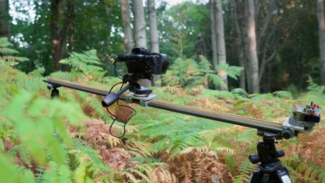 Mirrorless-camera-motion-tracking-slider-photographing-timelapse-autumn-leaves-forest