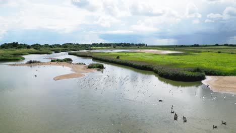 Aerial-video-captures-the-charm-of-saltwater-marshlands-on-the-Lincolnshire-coast,-with-seabirds-both-in-flight-and-resting-on-the-lagoons-and-inland-lakes