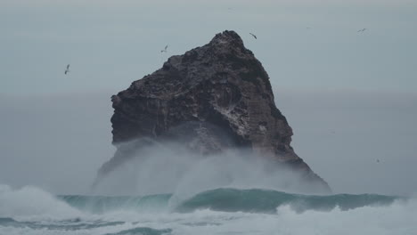 Swell-Crashing-Onto-The-Lion's-Head-Rock-During-A-Storm-In-Sandfly-Bay,-Dunedin,-New-Zealand