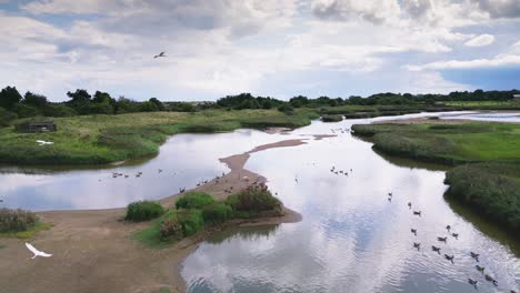 Aerial-video-footage-captures-the-saltwater-marshlands-along-the-Lincolnshire-coast,-featuring-seabirds-in-flight-and-on-the-lagoons-and-inland-lakes