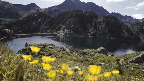 Paisaje-Escénico-En-El-Parque-Nacional-De-Aigüestortes-En-El-Pirineo-Catalán,-España,-Lago-De-Montañas-De-Gran-Altitud-Con-Pico-De-Cordillera-Y-Flores-Amarillas-Silvestres