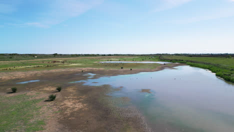 High-in-the-sky,-video-footage-captures-the-allure-of-the-saltwater-marshes-along-the-Lincolnshire-coast,-with-seabirds-soaring-and-resting-on-the-lagoons-and-inland-lakes
