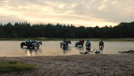 group-of-women-horseback-riders-standing-with-stallion-in-lake-in-forest-at-golden-hour