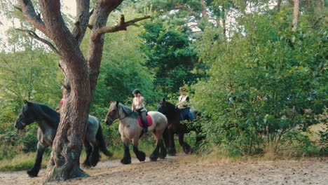 equestrians-riding-horseback-on-a-stallion-towards-lake-in-a-forest-during-golden-hour