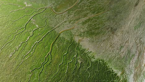 Aerial-satellite-view-above-Slikken-Van-Voorne,-Netherlands,-tendril-patterns-across-landscape