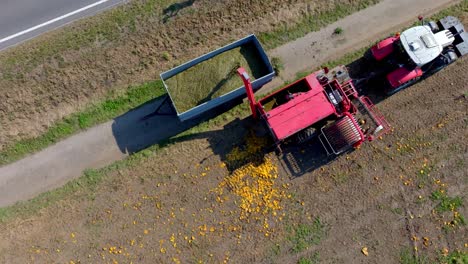 Top-View-Of-A-Combine-Tractor-Machinery-Unloading-The-Pumpkin-Seeds
