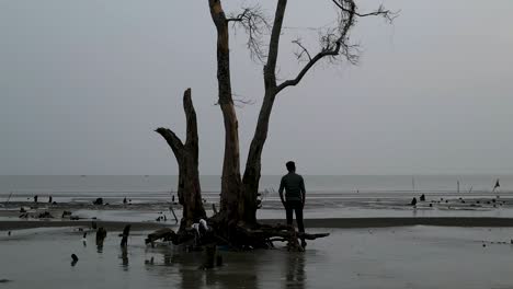 Hombre-Cinematográfico-Pensando-En-Soledad-Mientras-El-Mundo-Se-Expande-A-Su-Alrededor-En-Una-Costa-Deforestada.