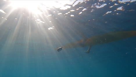 Barcelona,-Spain,-August-30,-2023:-Fish-catch-underwater-view-of-fisherman-reeling-in-fish-from-kayak-off-the-coast-of-Mil-Palmeras,-Spain