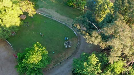Aerial-top-down-view,-woman-plays-with-dogs-in-park,-autumn-colored-tres