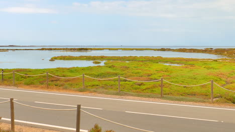 Protected-Nature-With-Grassy-Wetlands-Near-Paved-Road