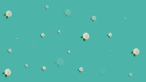 Animación-De-Flores-Moviéndose-En-Movimiento-Hipnótico-Sobre-Fondo-Azul