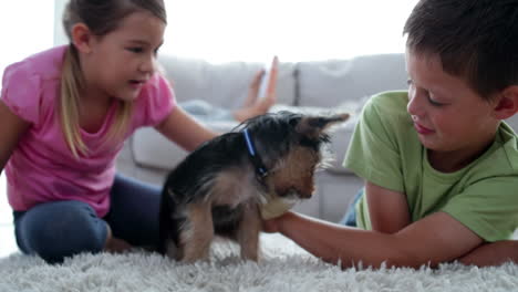 Siblings-playing-with-puppy-and-bone-with-their-mother-reading-on-the-sofa