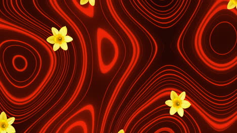 Animación-De-Flores-Sobre-Fondo-Ondulado-Rojo-Y-Negro