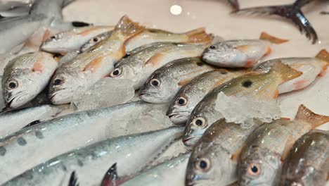 Frische-Meeresfrüchte-Werden-Auf-Einem-Fischmarkt-Zum-Verkauf-Angeboten