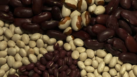 Beans:-Kidney,-Adzuki,-Navy,-Yellow-eyed-beans-rotate-in-closeup-view
