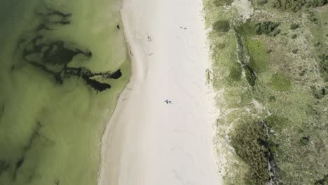 Experience-a-mesmerizing-drone-journey-over-the-Baltic-Sea's-pristine-beaches