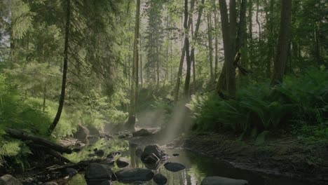 Magical-forest-view:-mesmerising-view-of-a-vibrant-green-misty-forest-floor-with-a-small-river-flowing-gently-and-wild-lush-ferns-growing-on-the-forest-floor