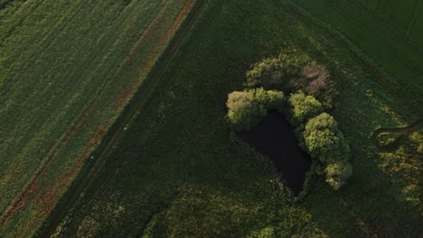 Spinning-Birdseye-View-of-Agricultural-Field-Small-Pond-Wildlife-and-Hunting-Grounds