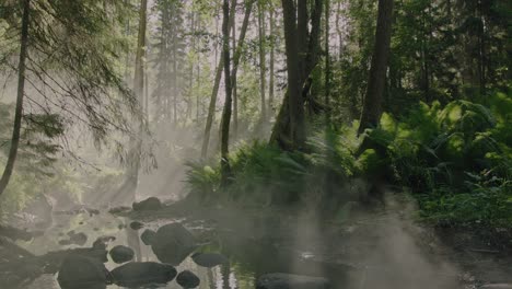 Magical-forest:-morning-fog-flowing-above-a-small-river-in-a-lush-mystical-forest-as-wild-ferns-gently-sway-in-the-breeze