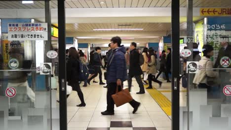 Crowd-of-people-in-Tokyo-subway-heading-to-work-while-access-doors-are-closed,-Japan
