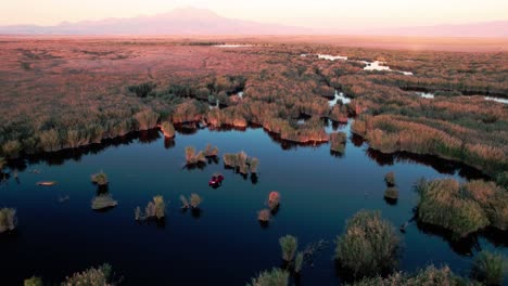 Aerial-drone-shot-of-the-swamps-at-Sultan-Marshes-National-Park-at-sunset-in-Turkey,-cappadocia