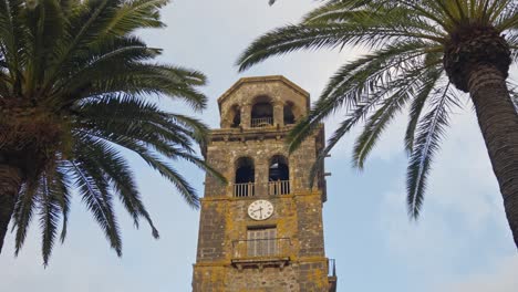 Historic-church-tower-in-San-Cristobal-de-La-Laguna,-Spain-between-magnificent-palm-trees