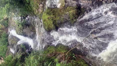 Agua-En-Cascada-Fluye-A-Través-De-Un-Arroyo-Cubierto-De-Musgo-En-El-Bosque-De-Morne,-Isla-Del-Norte,-Vertical