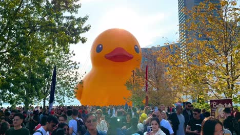 Menschenschwarm-Besucht-Die-Größte-Riesige-Gummiente-Der-Welt-Am-Toronto-Queens-Quay