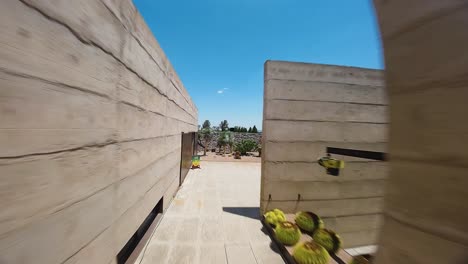 Un-Dron-Ha-Capturado-Una-Fantástica-Toma-Aérea-De-Un-Evento-En-El-Que-Unas-Niñas-Llevaban-Sombreros-De-Vaquero-En-Un-Viñedo-Al-Aire-Libre,-Tomando-El-Sol-Glorioso,-En-Ecatepec-De-Morelos,-México.