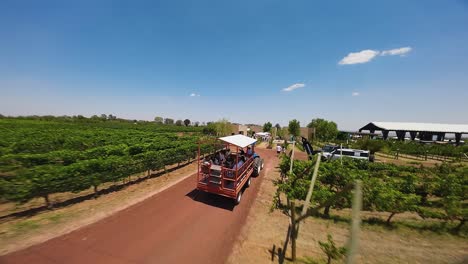 Atemberaubende-Drohnenperspektive-Eines-Weinguts-Mit-Einem-Traktor,-Der-Teilnehmer-Zu-Einer-Veranstaltung-In-Ecatepec-De-Morelos,-Mexiko,-Befördert